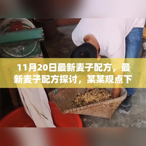 最新麥子配方探討，某某觀點(diǎn)下的分析與個(gè)人立場分享（11月20日更新）