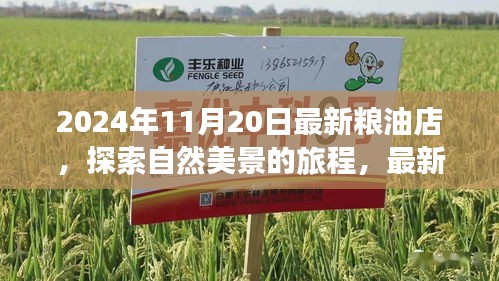 探索自然美景的旅程，最新糧油店與內(nèi)心的寧?kù)o時(shí)光