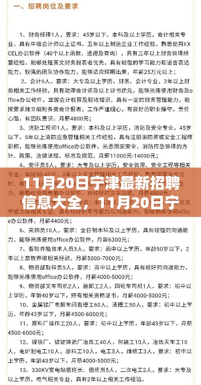 11月20日寧津最新招聘信息匯總，全面解讀招聘平臺特性與體驗(yàn)
