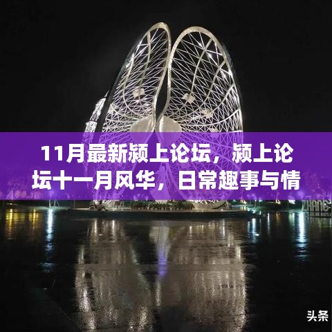 潁上論壇十一月風(fēng)華，日常趣事與情感紐帶