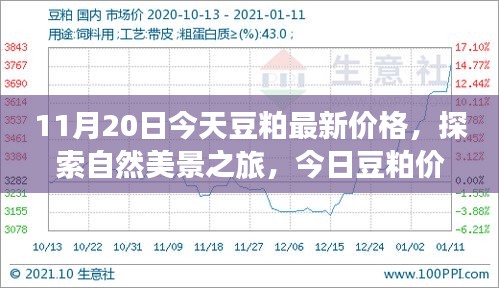 啟程尋找內(nèi)心平和，今日豆粕最新價(jià)格與自然美景之旅的寧?kù)o故事