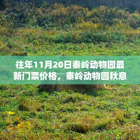 秦嶺動物園秋意濃時啟幕，探尋自然美景之旅與最新門票價格發(fā)布！