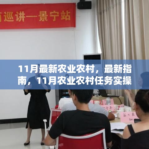 11月農(nóng)業(yè)農(nóng)村實(shí)操指南，任務(wù)步驟詳解，適合初學(xué)者與進(jìn)階用戶(hù)