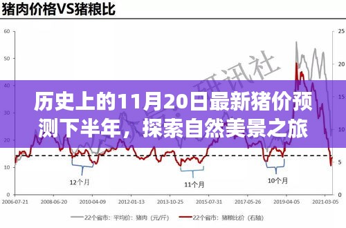 歷史上的11月20日豬價預測與心靈寧靜尋覓之旅，自然美景探索