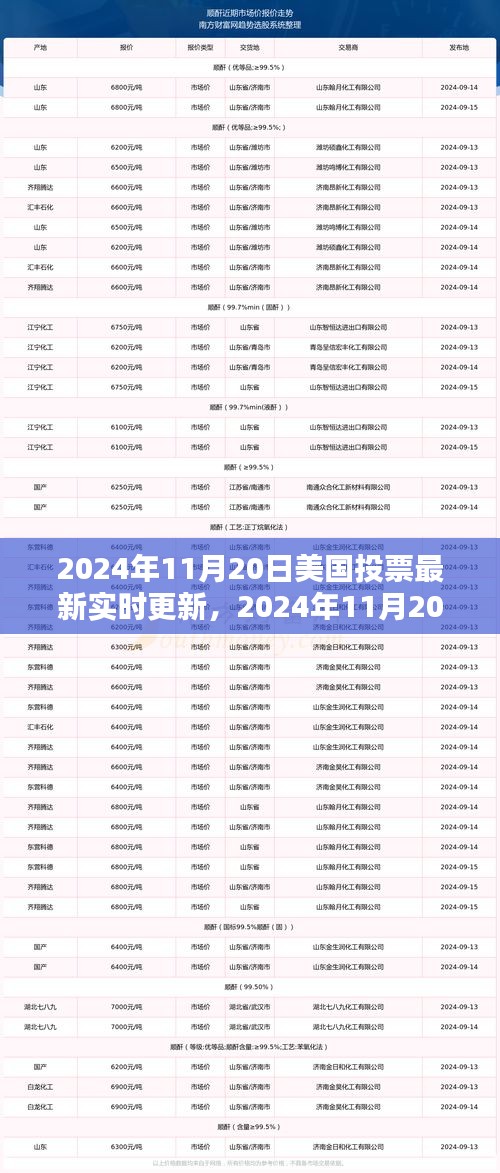 美國(guó)大選最新動(dòng)態(tài)，實(shí)時(shí)投票更新與指南，針對(duì)初學(xué)者與進(jìn)階用戶