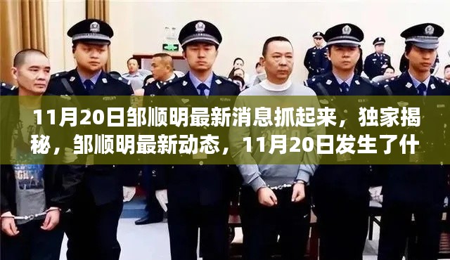 獨家揭秘，鄒順明最新動態(tài)及11月20日事件內(nèi)幕揭秘