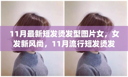 11月流行女發(fā)短燙發(fā)，全新風(fēng)尚與全攻略圖片欣賞