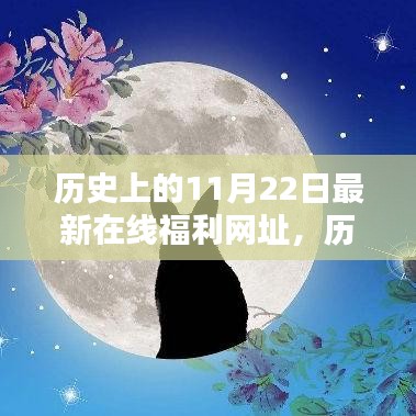 歷史上的11月22日與最新在線福利網(wǎng)址，多方觀點(diǎn)深度探析