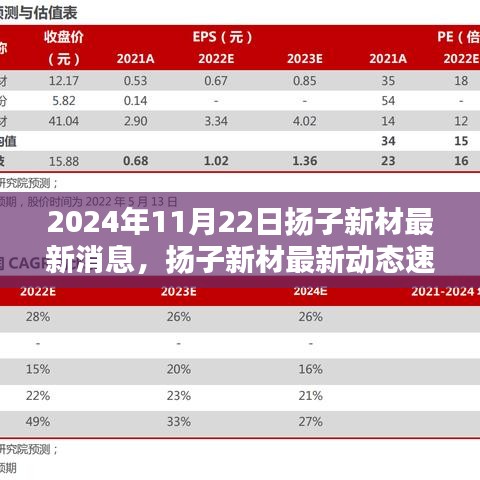 2024年11月22日揚(yáng)子新材最新消息，揚(yáng)子新材最新動態(tài)速遞，2024年11月22日的三大看點(diǎn)