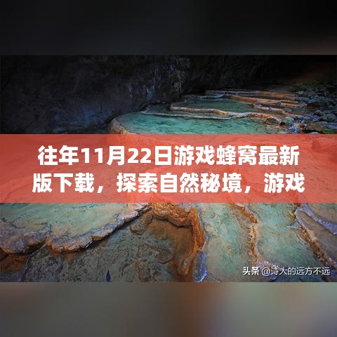 游戲蜂窩帶你探索自然秘境，最新下載，心靈平靜之旅