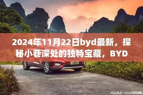 探秘小巷深處的獨特寶藏，BYD最新隱藏版特色小店揭秘（2024年11月22日）
