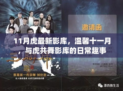 溫馨十一月，與虎共舞影庫(kù)的日常趣事及最新影庫(kù)盤點(diǎn)
