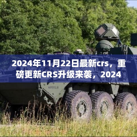 重磅更新CRS升級來襲，解讀最新政策與應(yīng)對策略，2024年CRS新動向解析