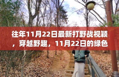 往年11月22日最新打野戰(zhàn)視穎，穿越野趣，11月22日的綠色冒險(xiǎn)之旅，尋找內(nèi)心的寧靜與平和