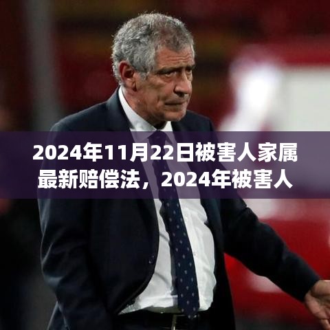 深度解讀2024年被害人家屬賠償法，背景、進展與影響