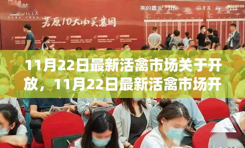 11月22日活禽市場(chǎng)開放動(dòng)態(tài)，復(fù)蘇與機(jī)遇的挑戰(zhàn)