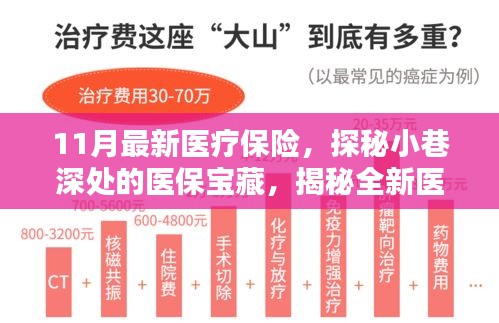 探秘醫(yī)保寶藏，揭秘全新醫(yī)療保險特色小店，11月最新醫(yī)療保險深度解讀