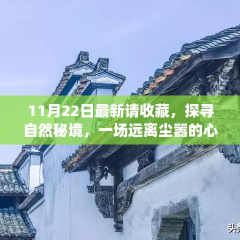 11月22日探尋自然秘境之旅，心靈啟程，珍藏美好瞬間