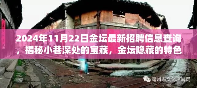 揭秘金壇隱藏特色小店與最新招聘信息奇遇記，2024年11月22日金壇招聘信息深度查詢