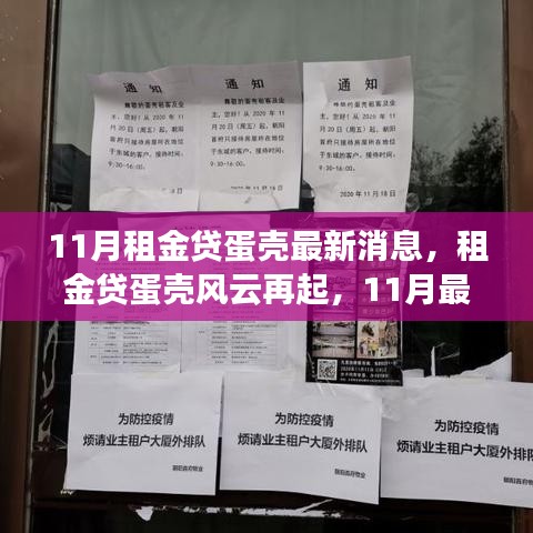 租金貸蛋殼風(fēng)云再起，深度解析蛋殼最新消息與11月最新進(jìn)展