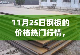11月25日鋼板價(jià)格行情深度解析，市場(chǎng)波動(dòng)與多方觀點(diǎn)透視