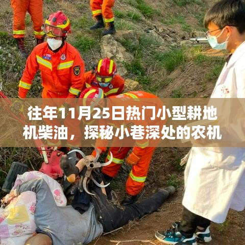 探秘11月25日炙手可熱的小型耕地機柴油市場，小巷深處的寶藏店鋪