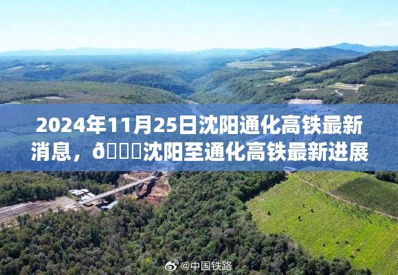 沈陽至通化高鐵最新進展曝光，預計于2024年11月25日通車，暢行無阻
