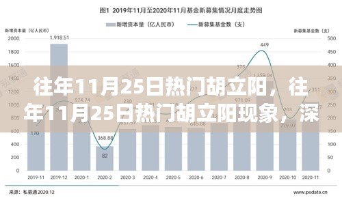 深度解析與觀點闡述，胡立陽現(xiàn)象——歷年11月25日的熱門焦點