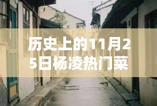 歷史上的楊凌菜價探秘，十一月二十五日小巷深處的時光味道與熱門菜價揭秘