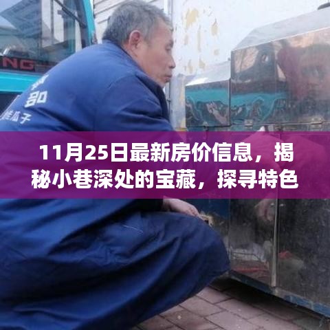 獨(dú)家揭秘，小巷深處的寶藏與特色小店背后的故事——最新房價(jià)信息報(bào)道