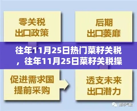 往年11月25日菜籽關(guān)稅操作詳解，入門到精通的步驟指南
