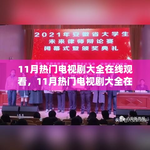 深度剖析與觀眾立場探討，11月熱門電視劇在線觀看大全