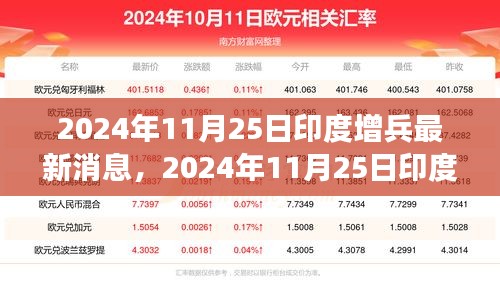 印度增兵動(dòng)態(tài)深度解析與前沿觀察，最新消息及觀察分析（2024年11月25日）