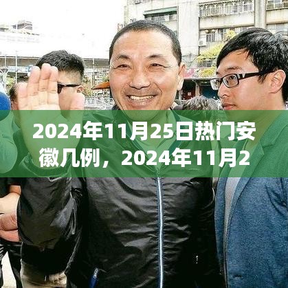 2024年11月25日安徽疫情最新熱點(diǎn)解讀，病例數(shù)量及防控措施
