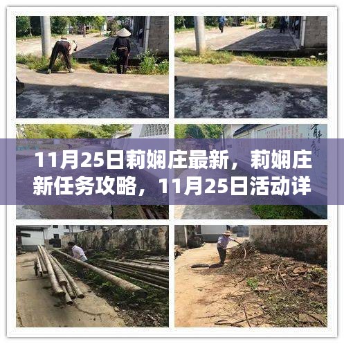 莉嫻莊新任務(wù)攻略與活動(dòng)詳解，11月25日指南，提升技能全解析