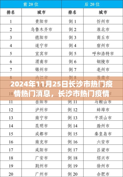 長(zhǎng)沙市疫情動(dòng)態(tài)，熱門消息下的公眾關(guān)注焦點(diǎn)與個(gè)人觀點(diǎn)探討（2024年11月25日）