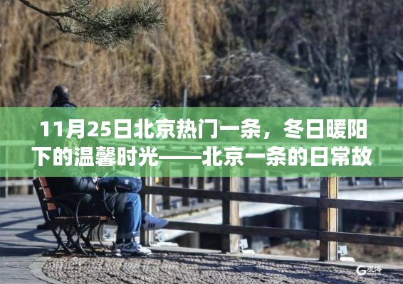 冬日暖陽(yáng)下的北京一條日常故事，溫馨時(shí)光回顧