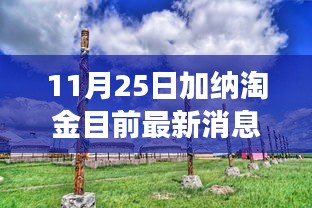 加納淘金最新動態(tài)，探尋秘境的心靈之旅