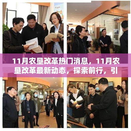 探索前行，農(nóng)墾改革最新動態(tài)引領(lǐng)農(nóng)業(yè)現(xiàn)代化