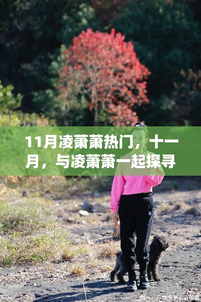 十一月心靈之旅，與凌蕭蕭共探自然秘境