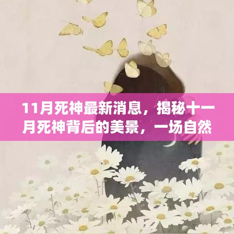 揭秘十一月死神背后的美景，自然之旅探尋內(nèi)心寧?kù)o與平和