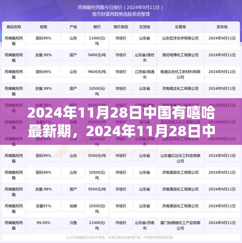 2024年11月28日中國(guó)有嘻哈最新期，觀(guān)眾參與指南