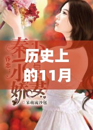 歷史上的11月28日，我的嬌妻及其深度解讀與影響