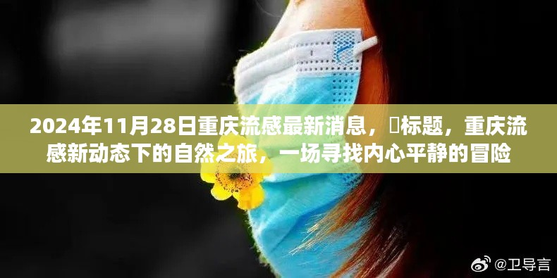 重慶流感新動(dòng)態(tài)下的探索之旅，內(nèi)心平靜的冒險(xiǎn)（2024年11月28日最新消息）