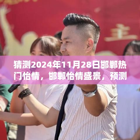 2024年11月28日邯鄲怡情盛景預(yù)測與回顧，城市脈動揭秘