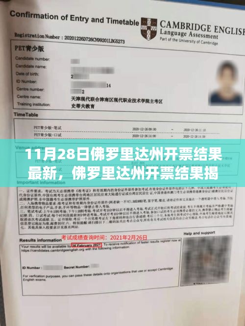 佛羅里達州開票結果揭曉，新篇章下的政治風云及其影響