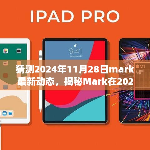 揭秘Mark在2024年11月28日的最新動(dòng)態(tài)，深度解讀成長(zhǎng)與變遷之路