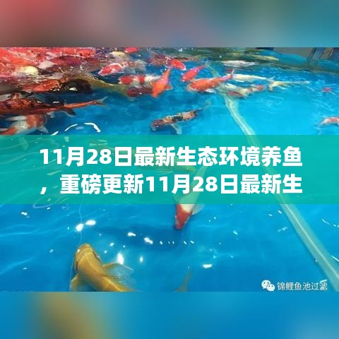 星星打烊 第15頁(yè)