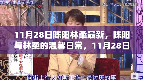 陳陽林柔的溫馨日常，11月28日的快樂時(shí)光記錄