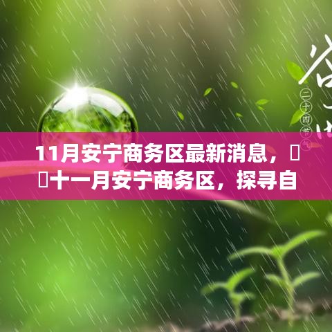 十一月安寧商務區(qū)最新動態(tài)，探尋自然秘境，啟程心靈之旅